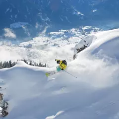 Freeride Dayride
